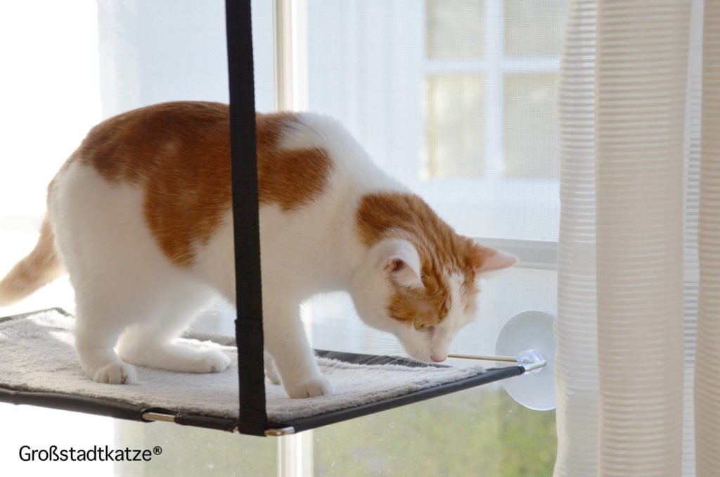 Fensterliege Katzen Hängematte Fenster Doppel